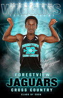 Forestview Fall Banners 2025