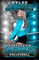 Forestview Volleyball Aug 2026