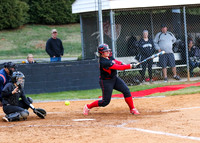 Forestview at South Point Softball 2017