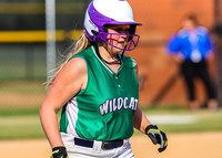 York Chester at Belmont Softball 2016